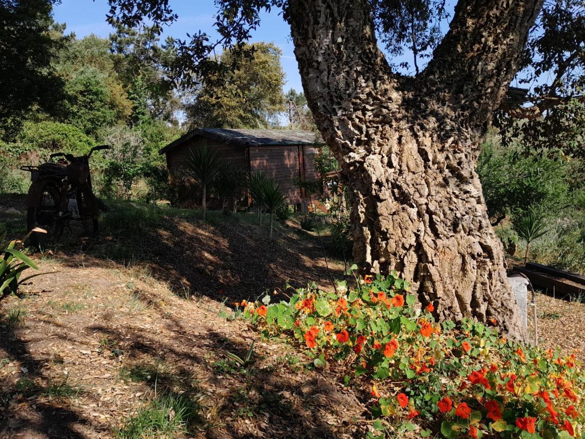 Casa Do Sobreiro 2 Bed & Breakfast Serra das Alhadas Exterior photo